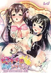 Bitch Gakuen ga Seijun na Hazu ga Nai!!? The Animation