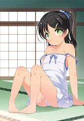 Ichinen Buri no The Animation