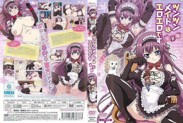 Tsun Tsun Maid wa Ero Ero Desu